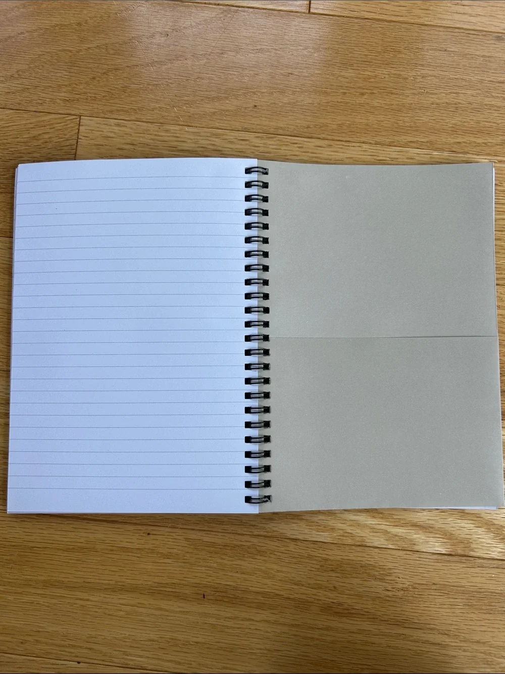 Handbook for the Recently Deceased Spiral Notebook - Beetlejuice